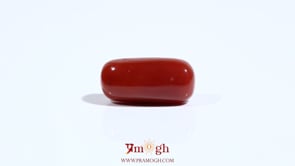 Red Coral - 8 Carat