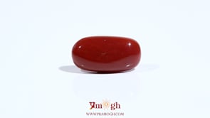 Red Coral - 7.5 Carat