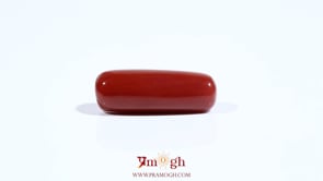 Red Coral - 7.5 Carat