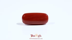 Red Coral - 8.65 Carat