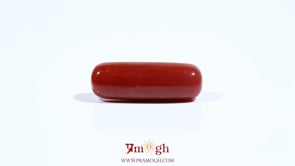 Red Coral - 7.2 Carat