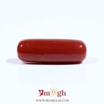 Red Coral - 7.2 Carat