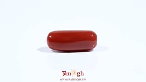 Red Coral - 7.65 Carat