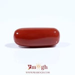 Red Coral - 7.65 Carat