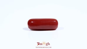Red Coral - 7.2 Carat