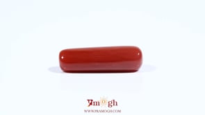 Red Coral - 7.2 Carat
