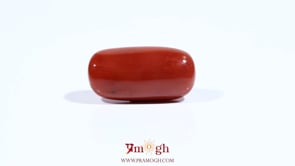 Red Coral - 11.7 Carat