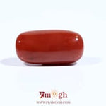 Red Coral - 11.7 Carat