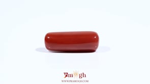 Red Coral - 7.55 Carat