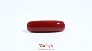 Red Coral - 7.3 Carat