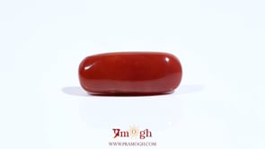 Red Coral - 9.2 Carat