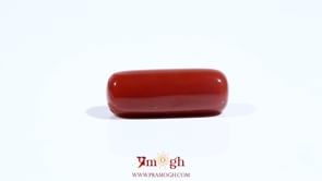 Red Coral - 9.5 Carat