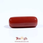 Red Coral - 9.5 Carat