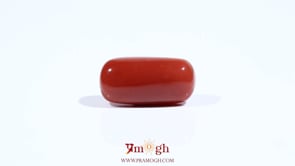 Red Coral - 8.4 Carat