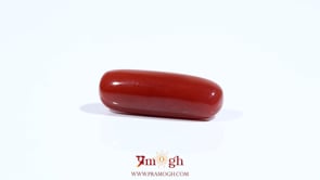 Red Coral - 7.75 Carat