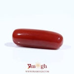 Red Coral - 7.75 Carat