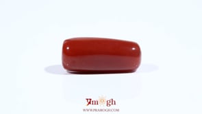 Red Coral - 12.65 Carat