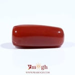 Red Coral - 12.65 Carat