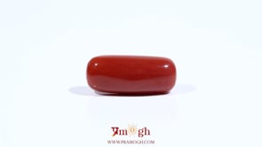 Red Coral - 7.95 Carat