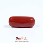 Red Coral - 7.95 Carat
