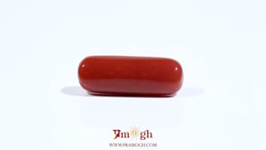 Red Coral - 8.55 Carat