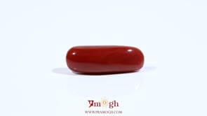 Red Coral - 7.2 Carat