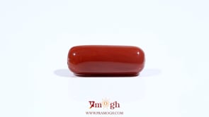 Red Coral - 8.2 Carat