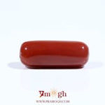 Red Coral - 8.2 Carat