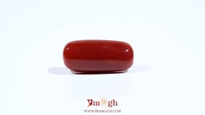 Red Coral - 7 Carat