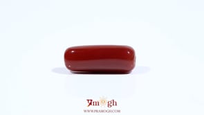 Red Coral - 7 Carat