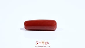 Red Coral - 7.05 Carat