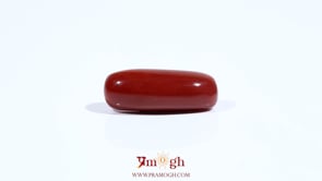 Red Coral - 7.3 Carat