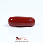 Red Coral - 7.3 Carat