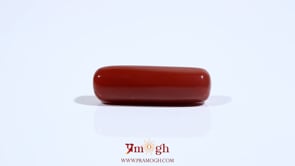 Red Coral - 7.7 Carat
