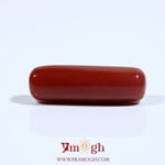Red Coral - 7.7 Carat