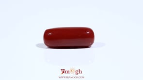 Red Coral - 8.25 Carat