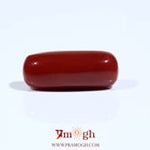 Red Coral - 8.25 Carat