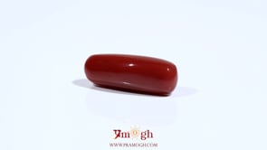 Red Coral - 7.2 Carat