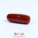 Red Coral - 7.2 Carat