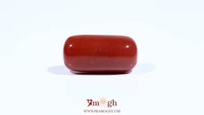 Red Coral - 13.4 Carat