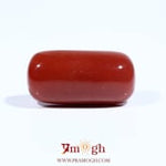 Red Coral - 13.4 Carat