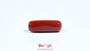 Red Coral - 7.7 Carat