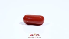 Red Coral - 7.45 Carat