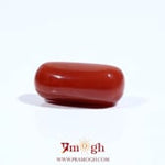 Red Coral - 7.45 Carat
