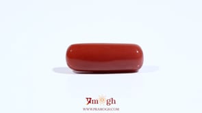 Red Coral - 8.2 Carat