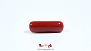 Red Coral - 7.1 Carat