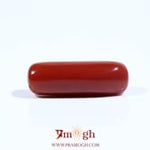Red Coral - 7.1 Carat