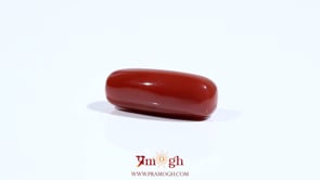 Red Coral - 8.15 Carat