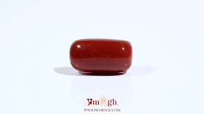 Red Coral - 9.4 Carat