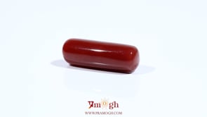 Red Coral - 8.25 Carat